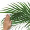 RoomMates Palm Leaf Peel & Stick Giant Wall Decals